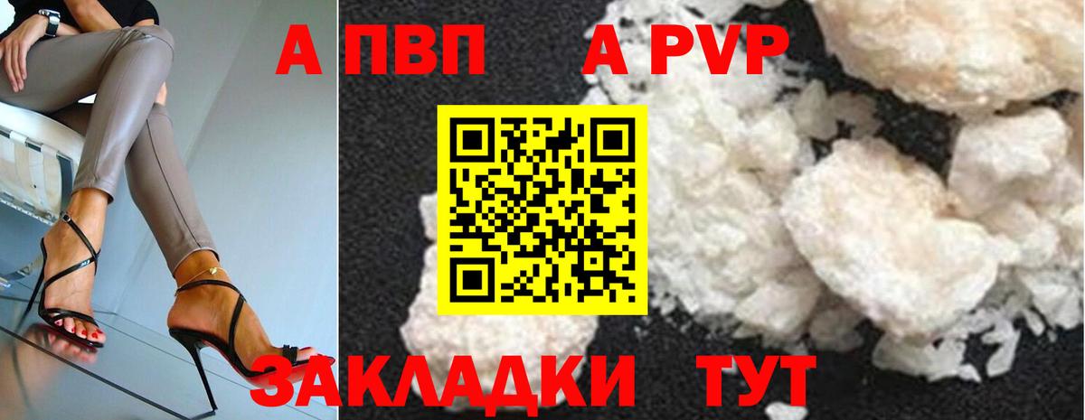 Alfa_PVP СК Тверь