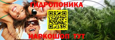стафф Лесосибирск