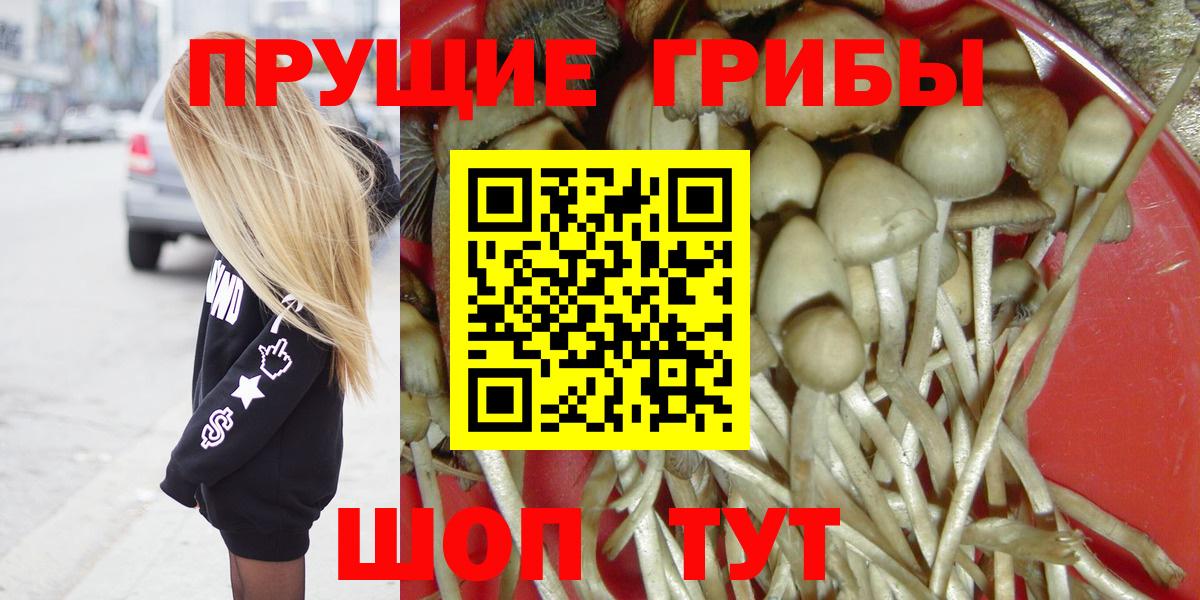 Псилоцибиновые грибы GOLDEN TEACHER  Вход с VPN  Псилоцибиновые грибы Cubensis  Тверь 
